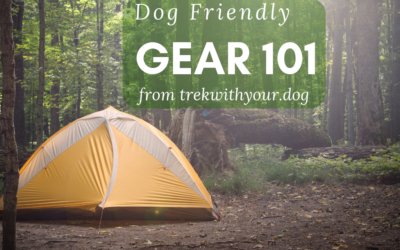 Dog Friendly Gear 101