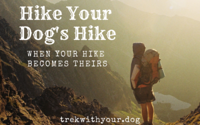 Hike Your Dog’s Hike