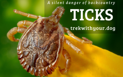 Ticks: Hidden Danger of Backpacking